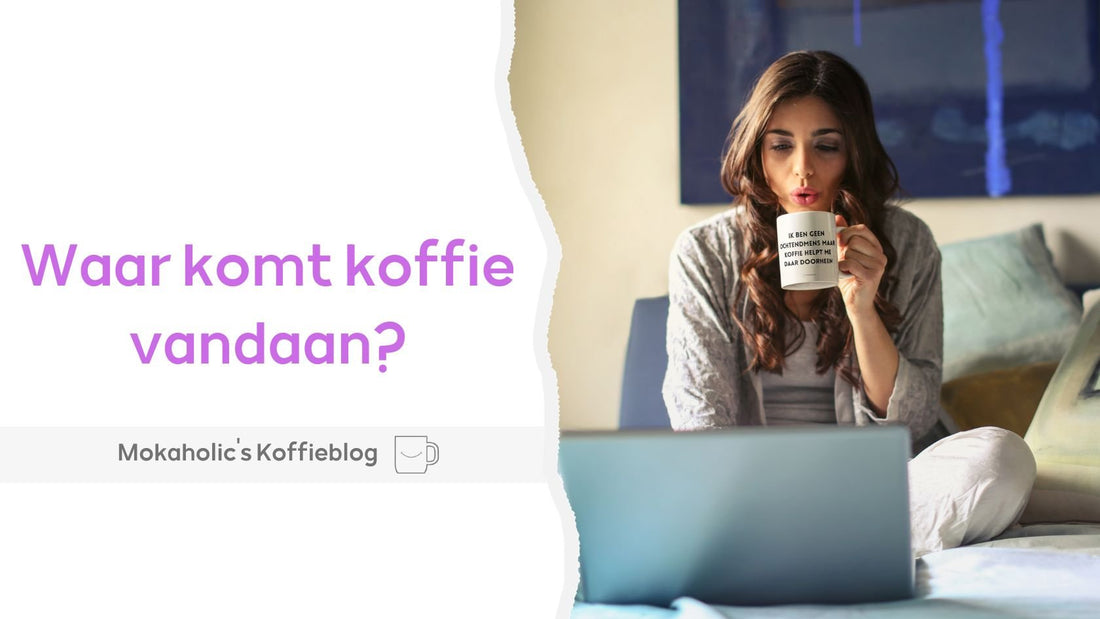 Waar komt koffie vandaan? - Mokaholic