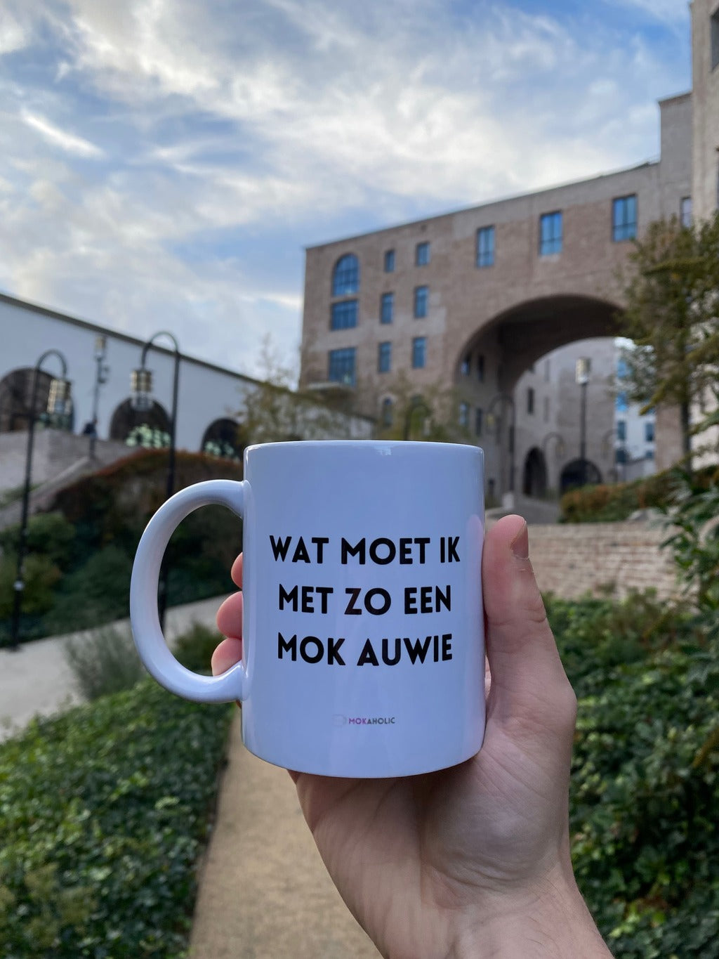 Wat moet ik in Heele